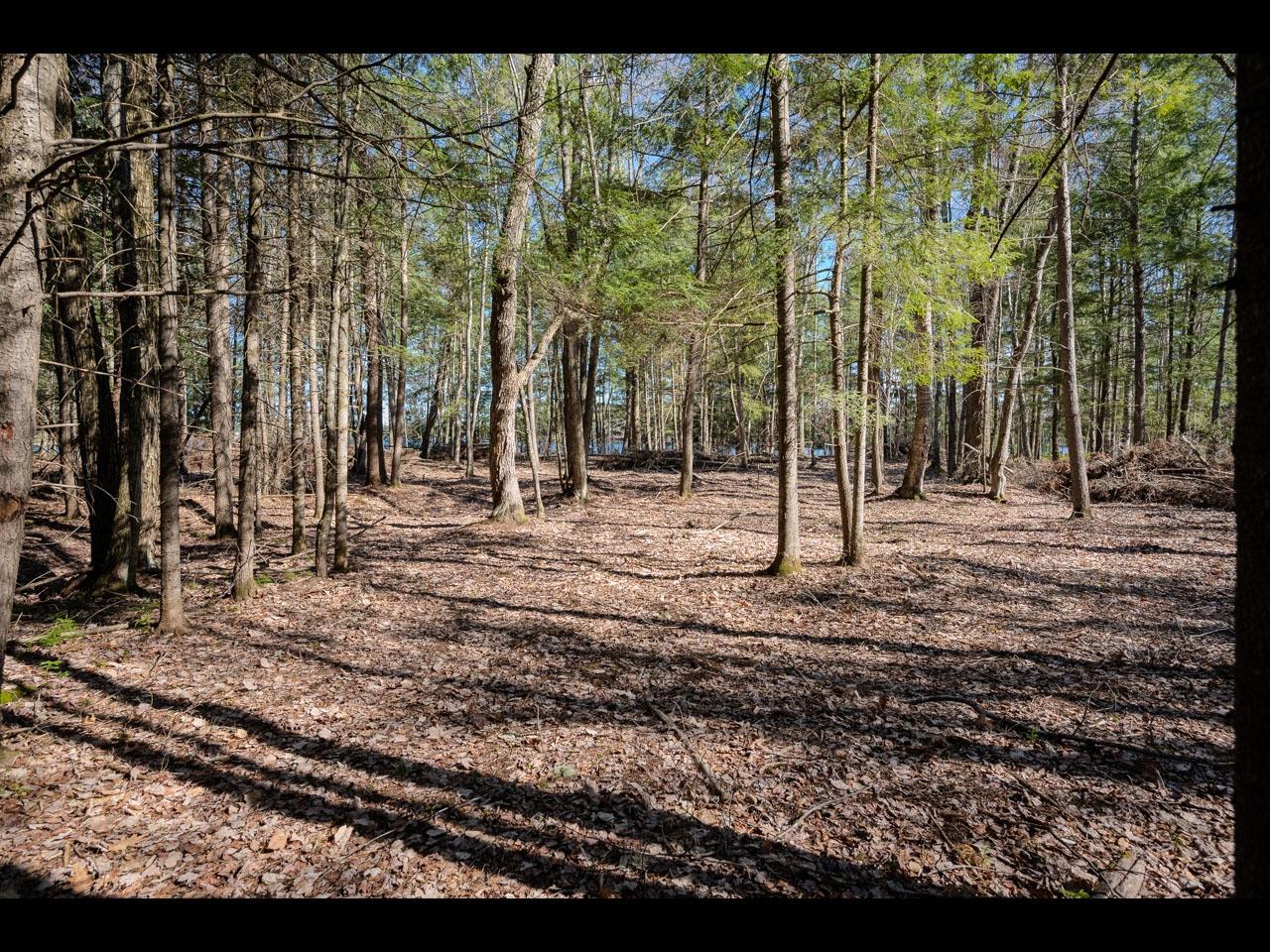 Clearwater Lake Property Lot 17 Memory Ln Photo 7