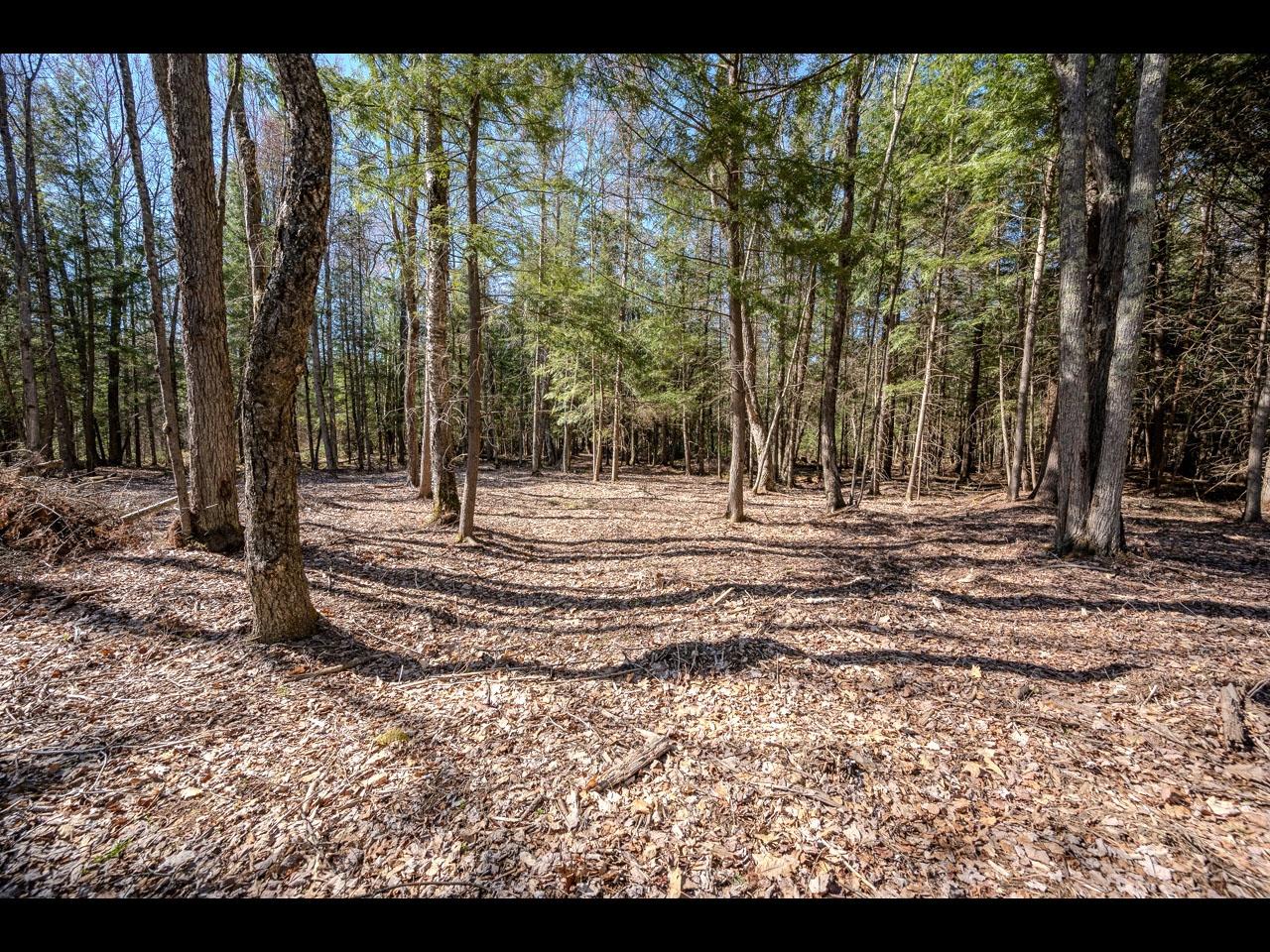 Clearwater Lake Property Lot 17 Memory Ln Photo 8