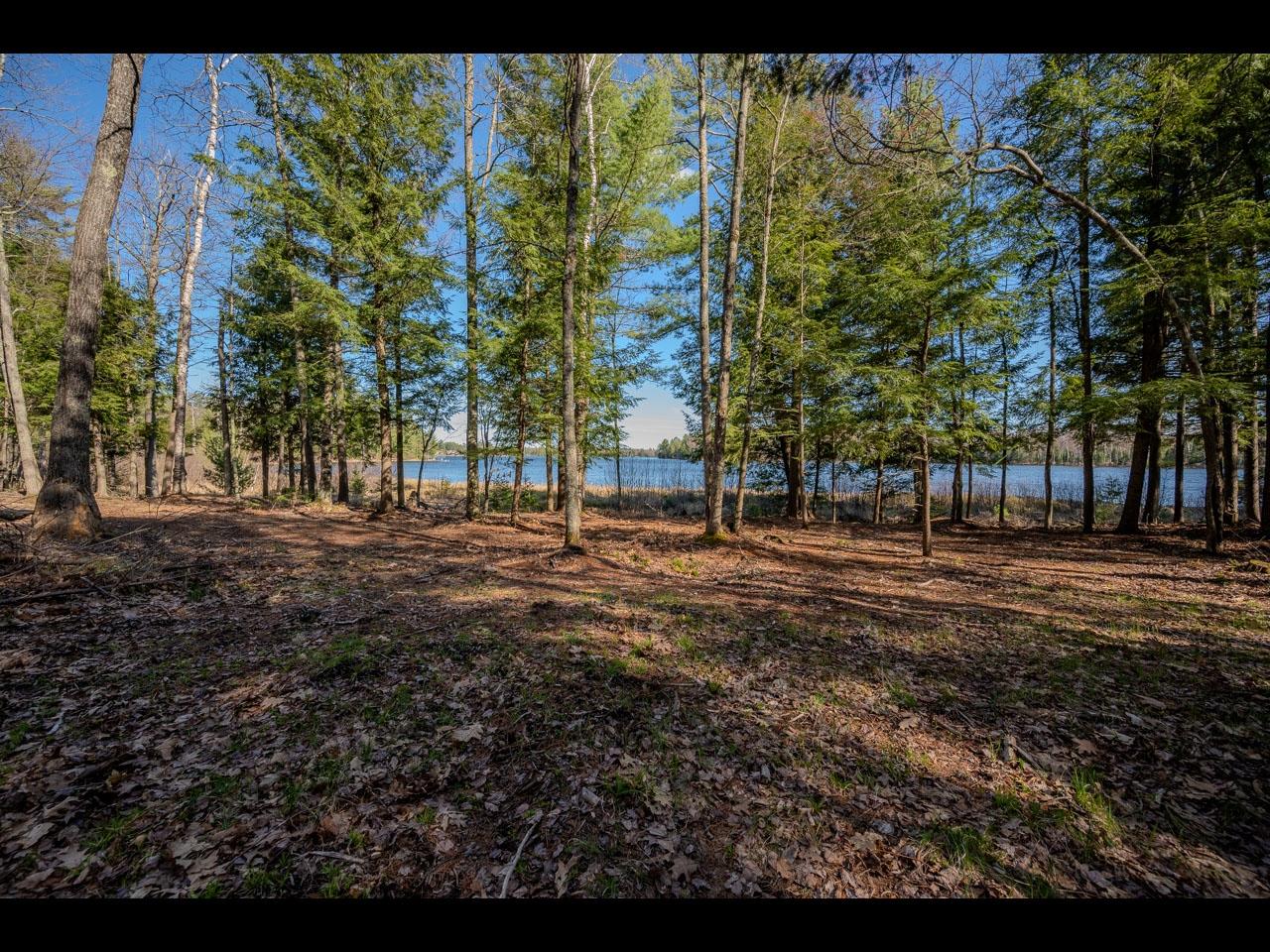 Clearwater Lake lot picture