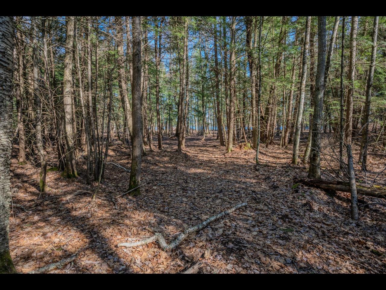 Clearwater Lake Property Lot 19 Memory Ln Photo 3