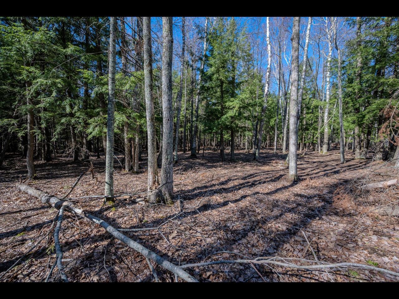 Clearwater Lake Property Lot 19 Memory Ln Photo 5
