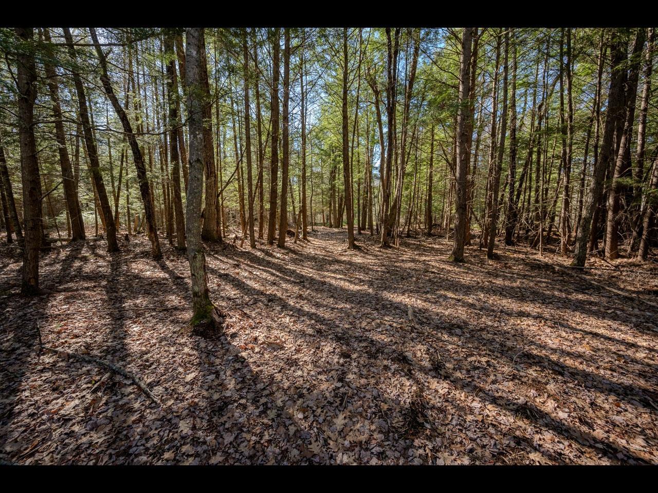 Clearwater Lake Property Lot 19 Memory Ln Photo 6