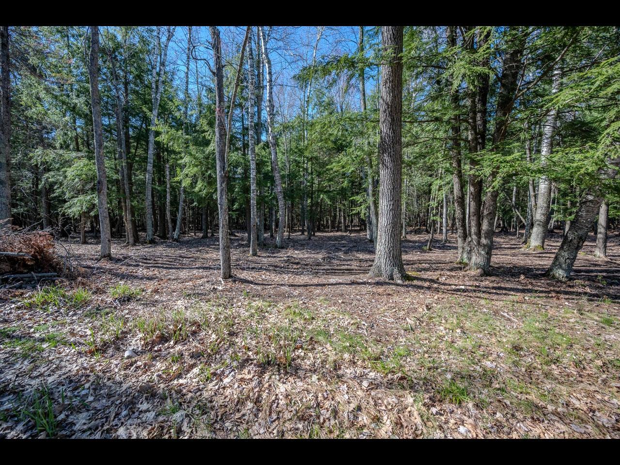 Clearwater Lake Property Lot 19 Memory Ln Photo 7