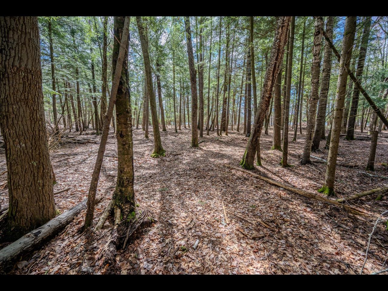 Clearwater Lake lot picture