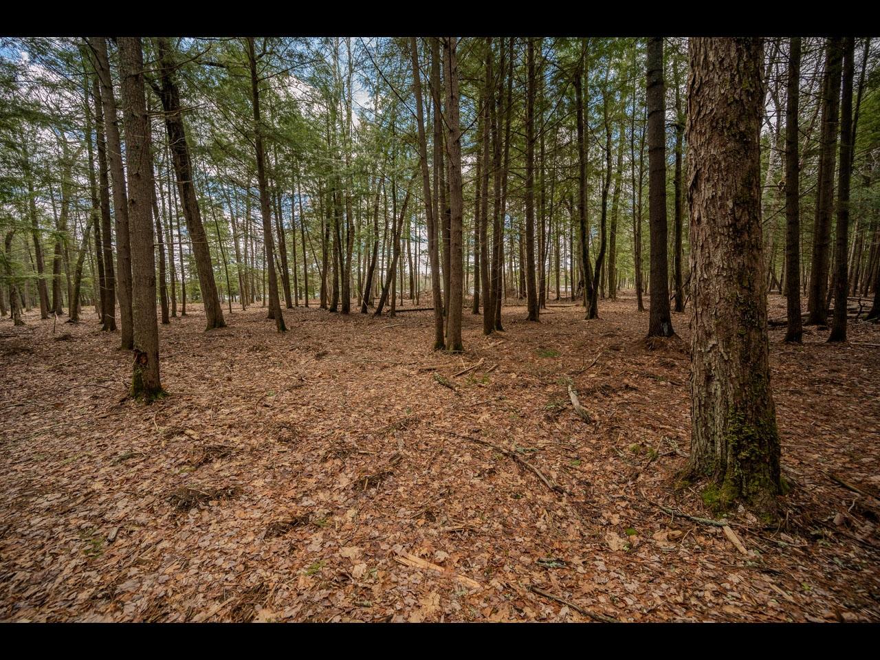 Clearwater Lake Property Lot 21 Bonita Pt Photo 7