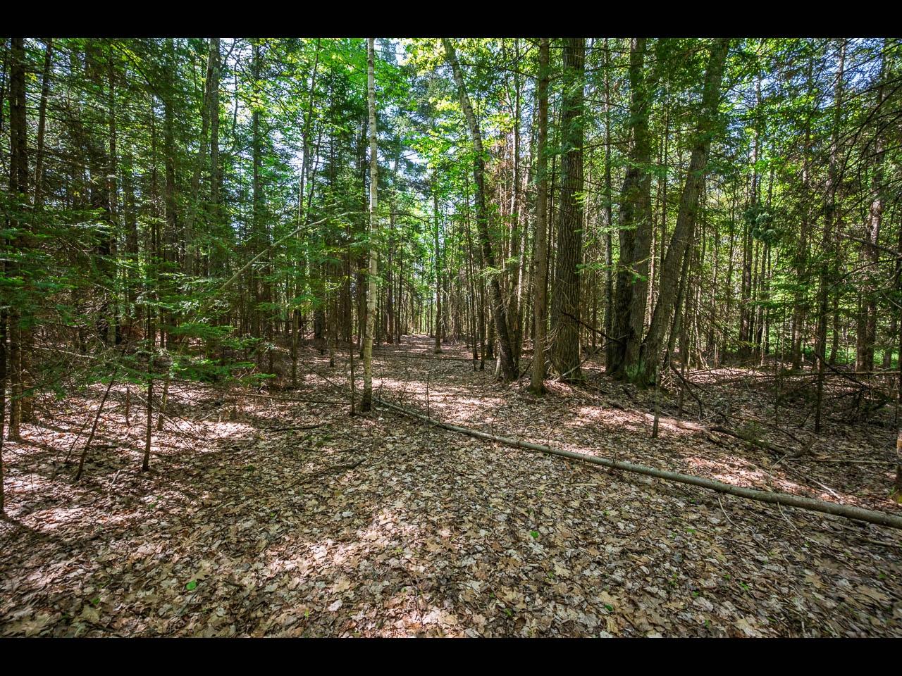 Clearwater Lake lot picture