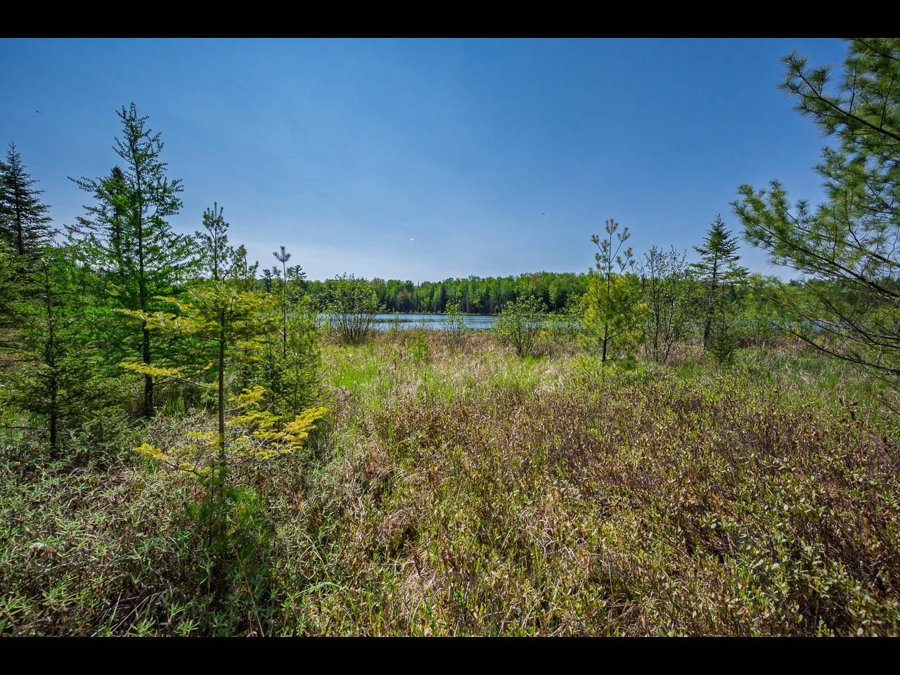Clearwater Lake Property Lot 2 Memory Ln Photo 4