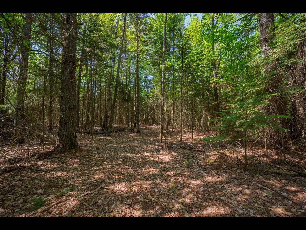 Clearwater Lake Property Lot 2 Memory Ln Photo 7