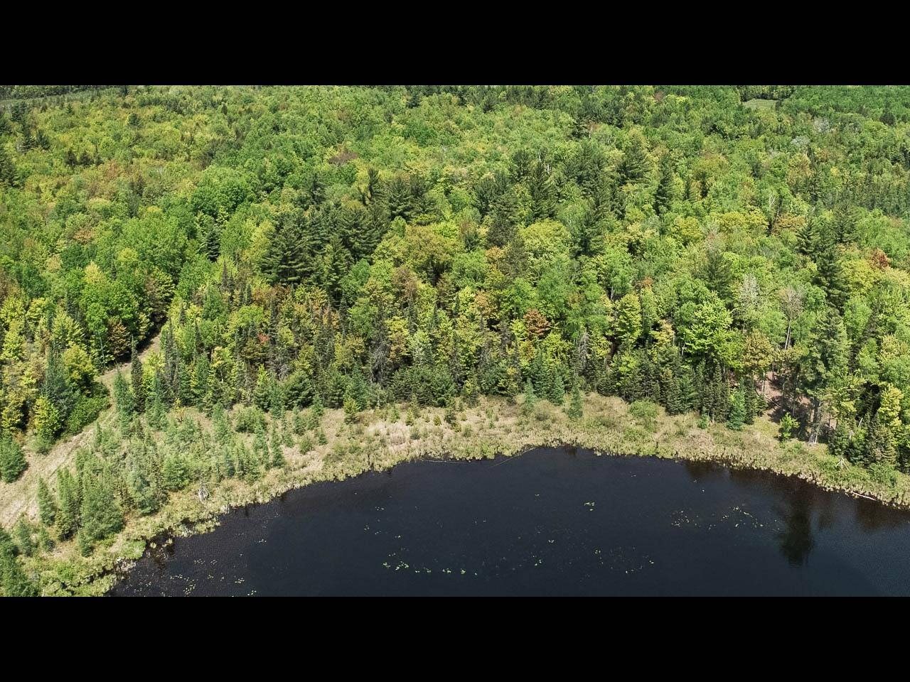 Clearwater Lake Property Lot 2 Memory Ln Photo 8