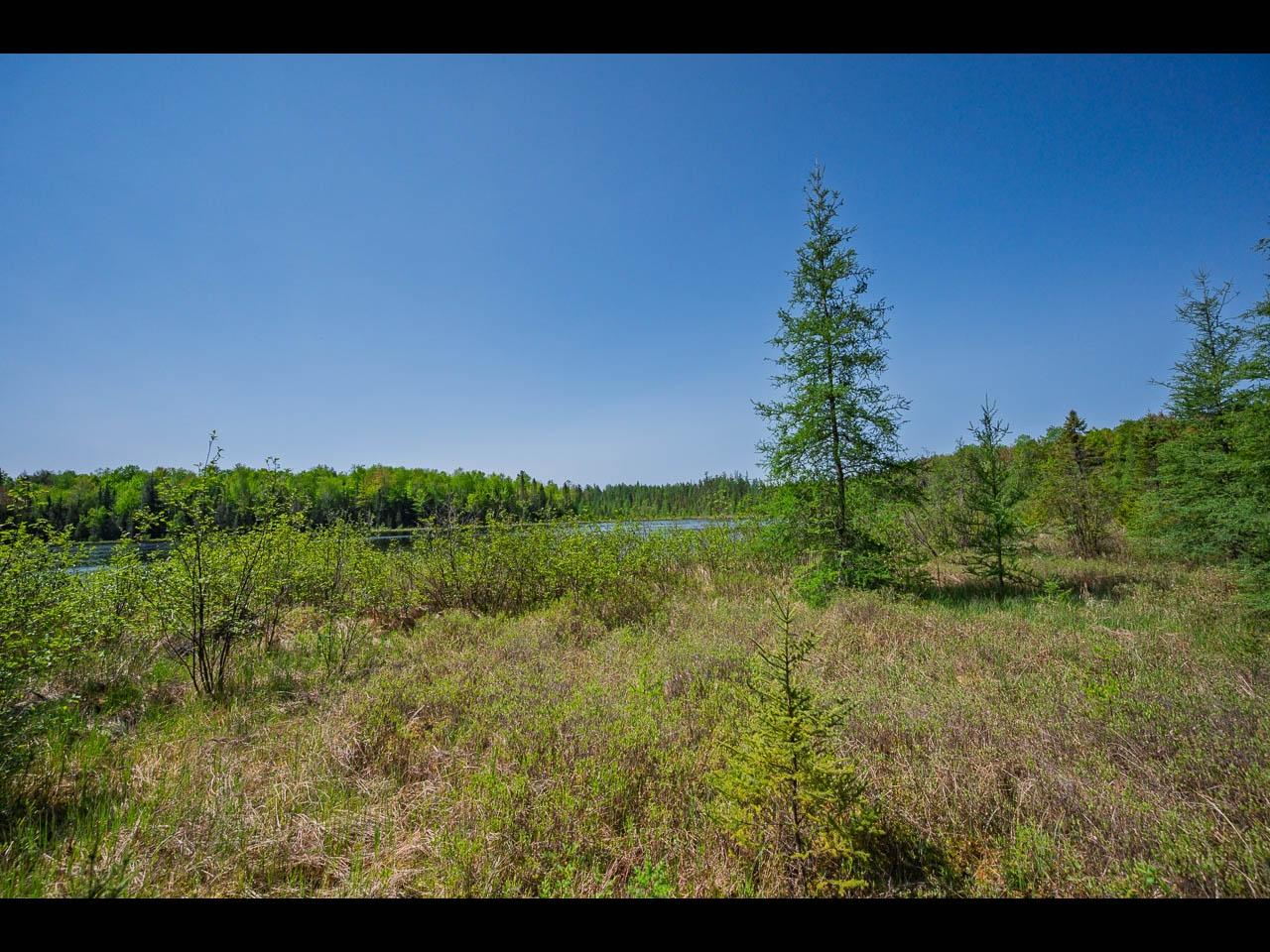 Clearwater Lake Property Lot 4 Kinderhook Tr Photo 7