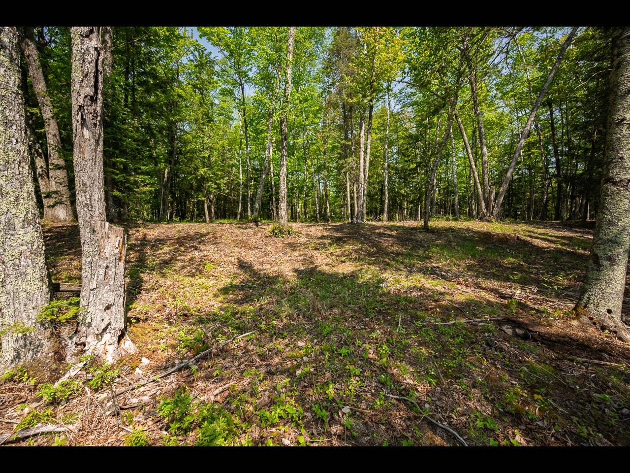 Clearwater Lake Property Lot 11 Kinderhook Tr Photo 4