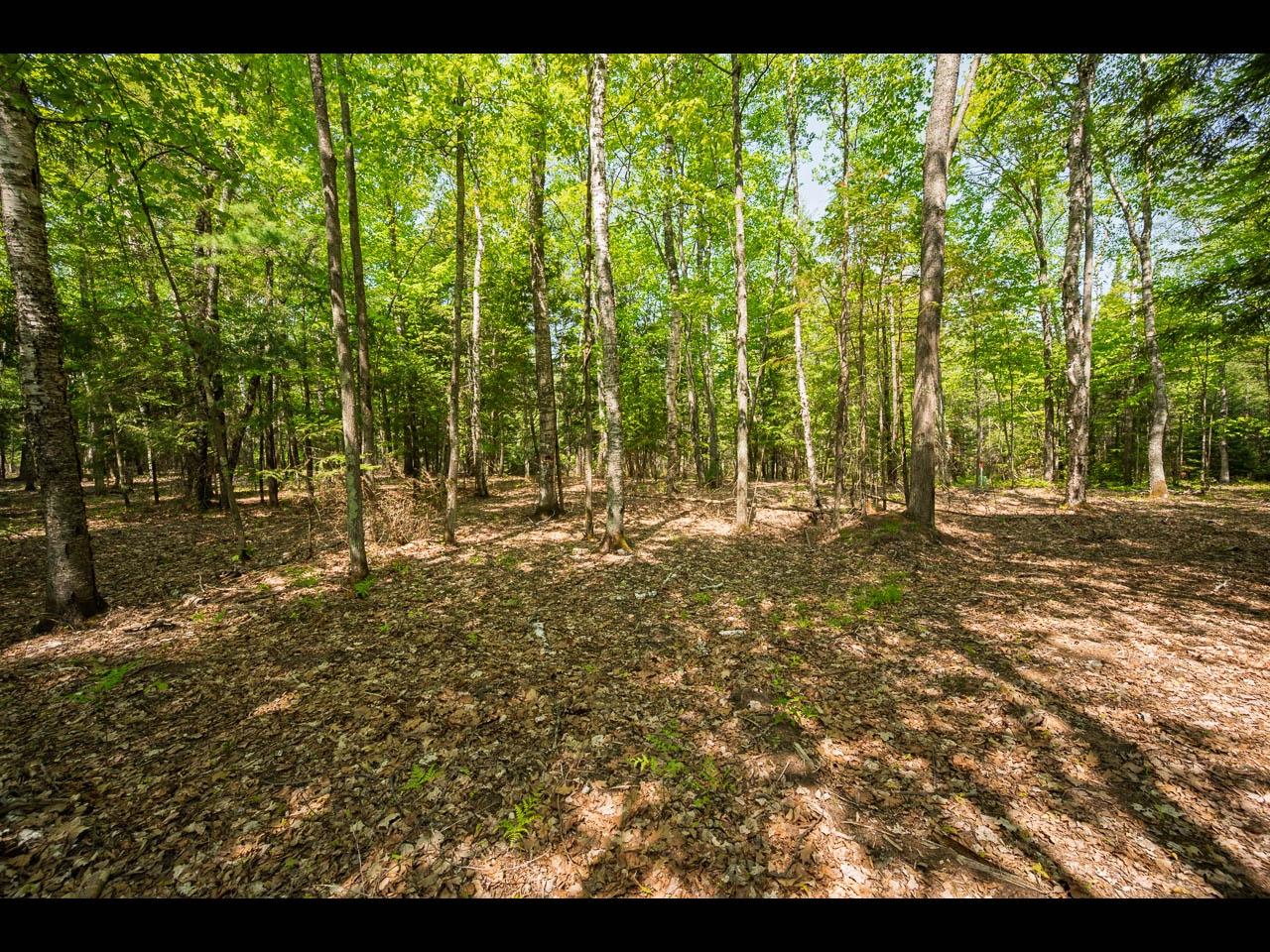 Clearwater Lake Property Lot 11 Kinderhook Tr Photo 6