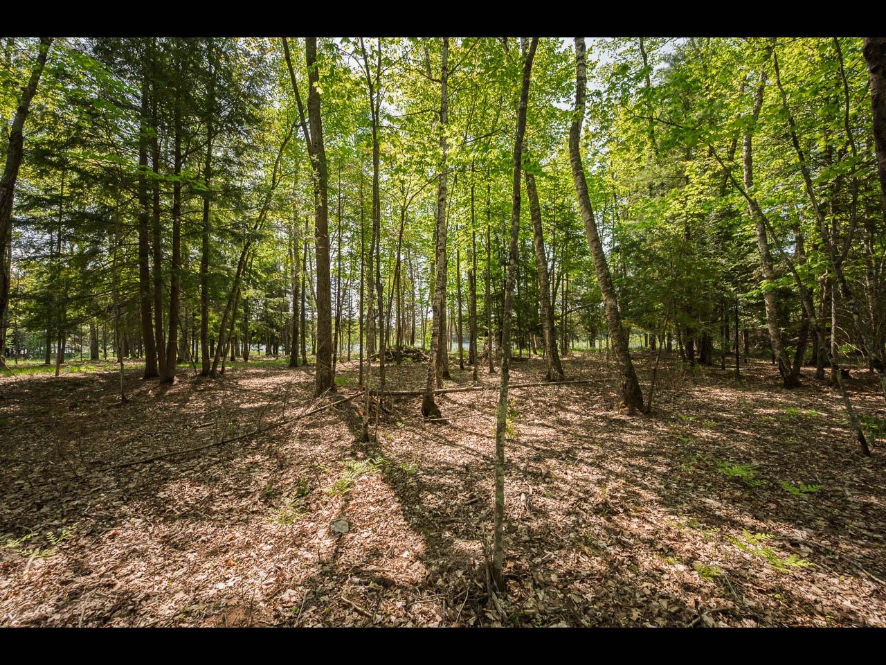 Clearwater Lake Property Lot 11 Kinderhook Tr Photo 7