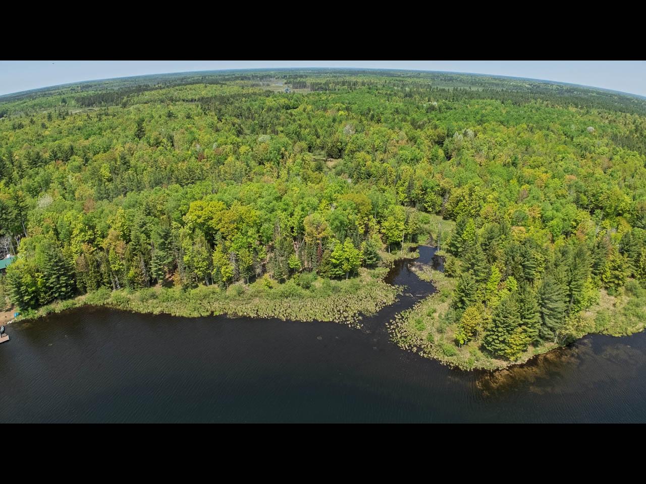 Clearwater Lake Property Lot 11 Kinderhook Tr Photo 8