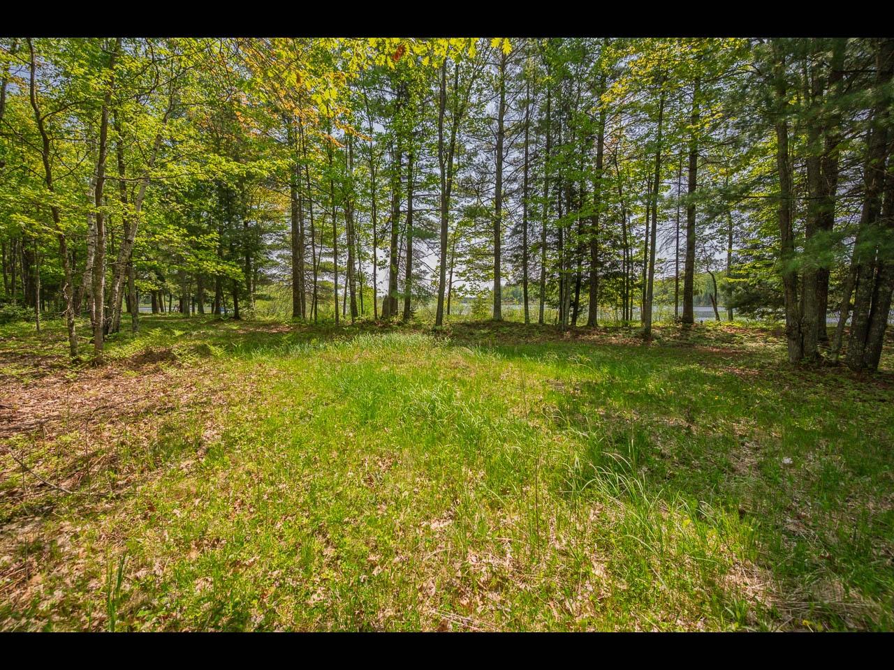 Clearwater Lake Property Lot 13 Memory Ln Photo 13