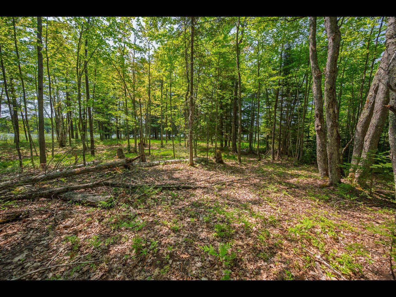 Clearwater Lake Property Lot 13 Memory Ln Photo 15