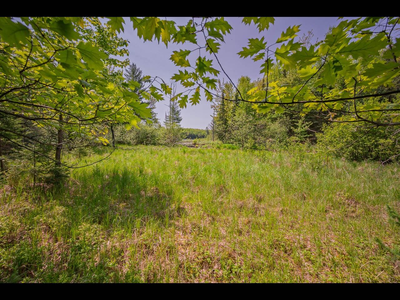 Clearwater Lake Property Lot 13 Memory Ln Photo 16