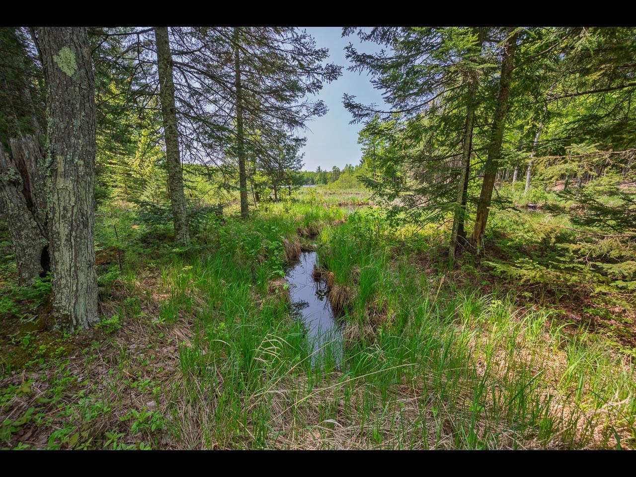 Clearwater Lake Property Lot 13 Memory Ln Photo 17