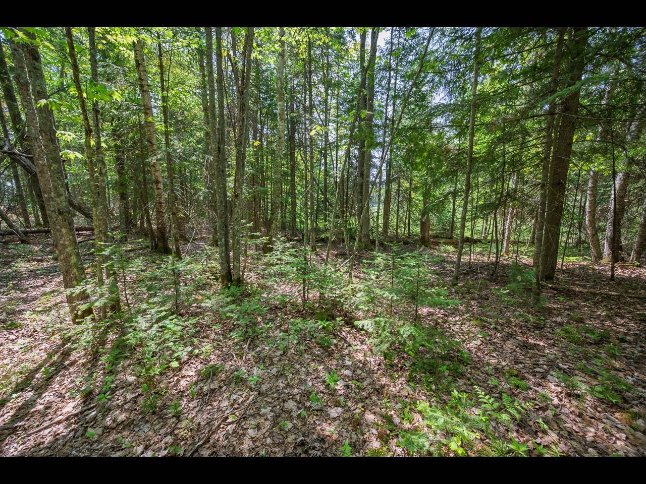 Clearwater Lake Property Lot 13 Memory Ln Photo 21