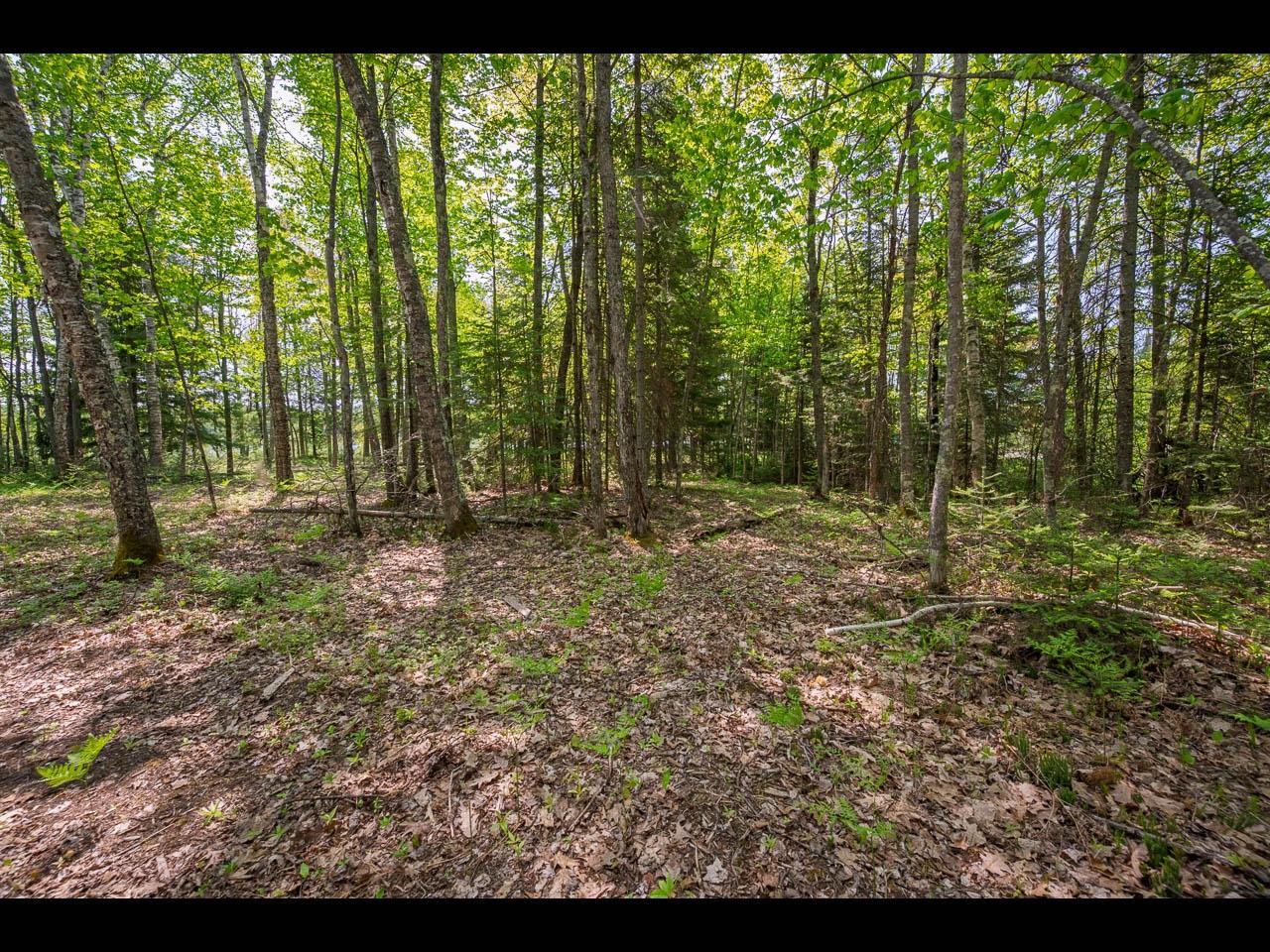Clearwater Lake Property Lot 13 Memory Ln Photo 24