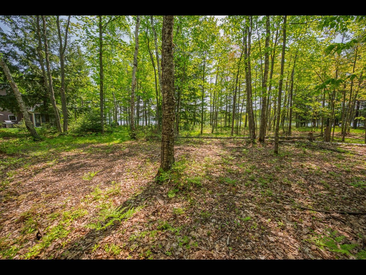 Clearwater Lake Property Lot 13 Memory Ln Photo 26