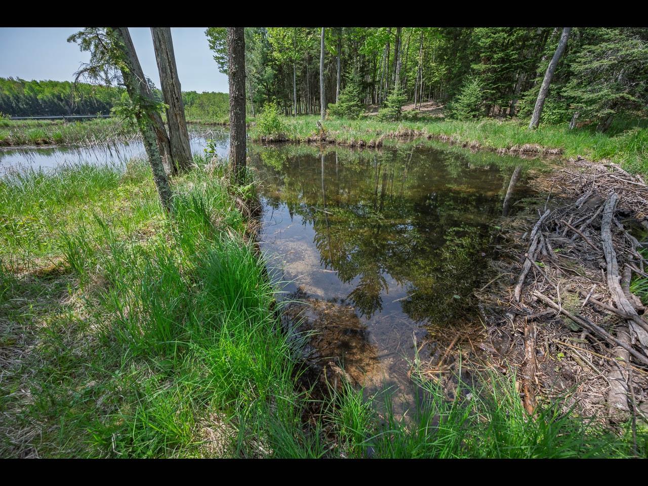 Clearwater Lake Property Lot 13 Memory Ln Photo 27