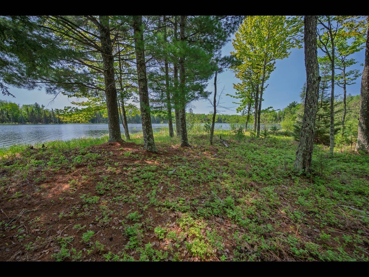 Clearwater Lake Property Lot 13 Memory Ln Photo 3