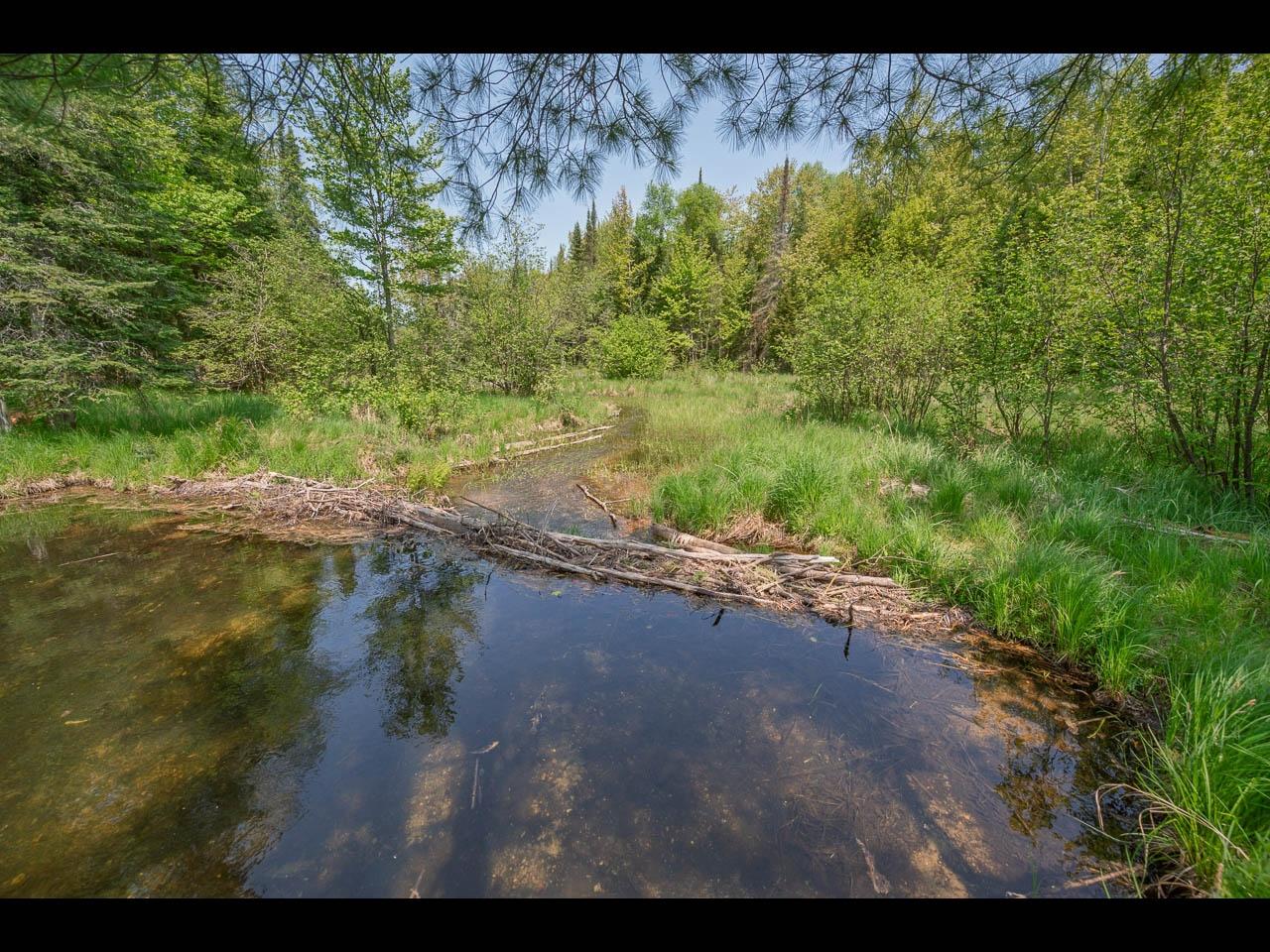 Clearwater Lake Property Lot 13 Memory Ln Photo 30