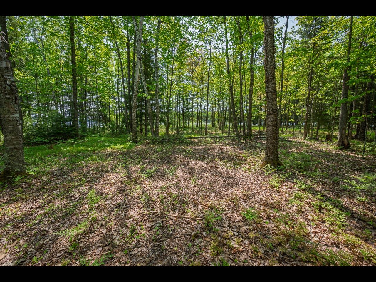 Clearwater Lake Property Lot 13 Memory Ln Photo 31