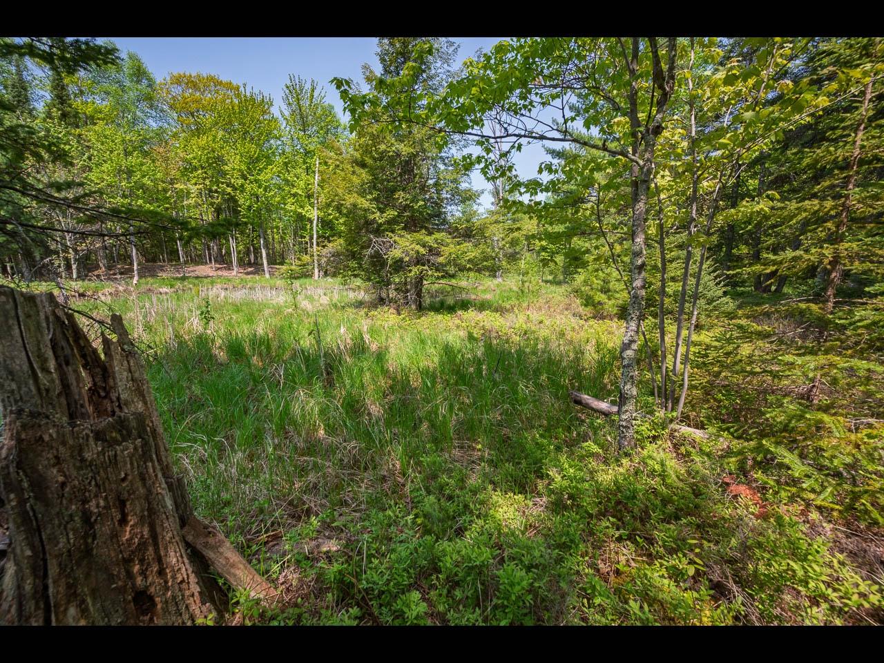 Clearwater Lake Property Lot 13 Memory Ln Photo 33