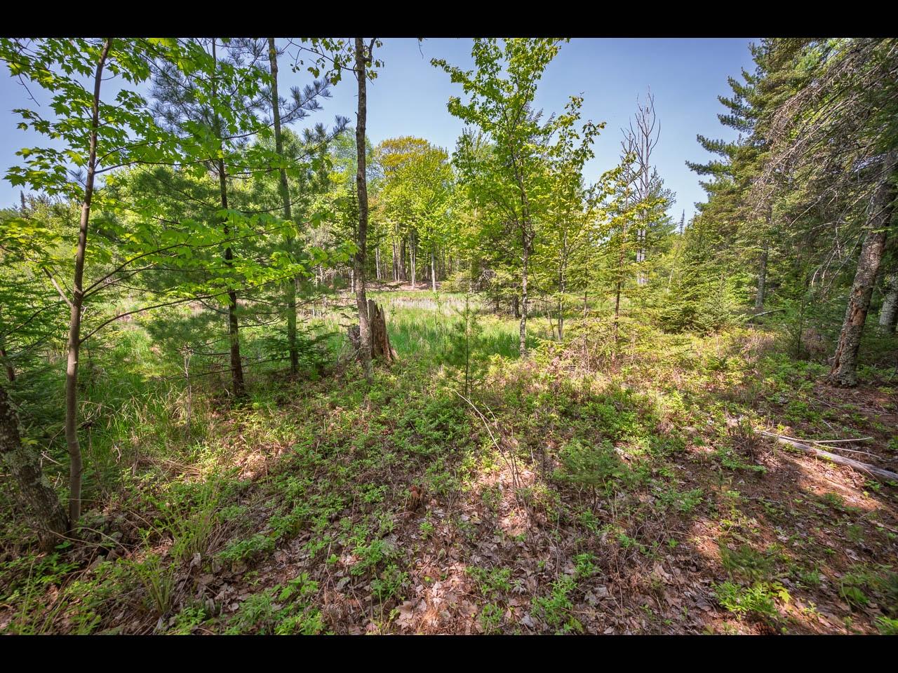 Clearwater Lake Property Lot 13 Memory Ln Photo 34