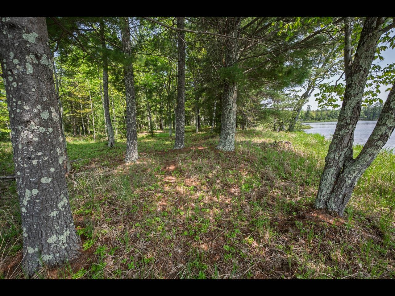 Clearwater Lake Property Lot 13 Memory Ln Photo 8