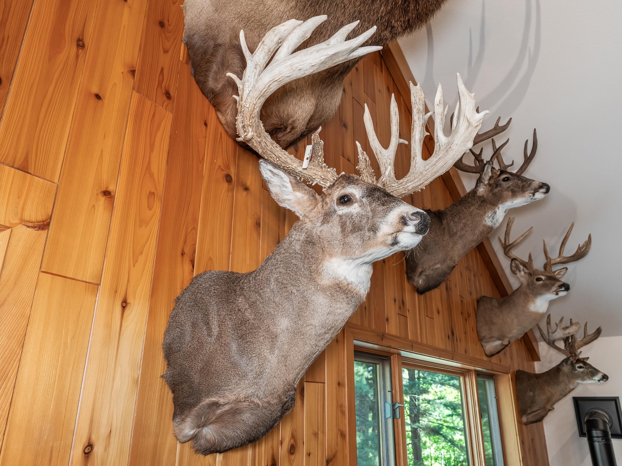 Undocumented Lake Property 4017 Hwy 51 Photo 20