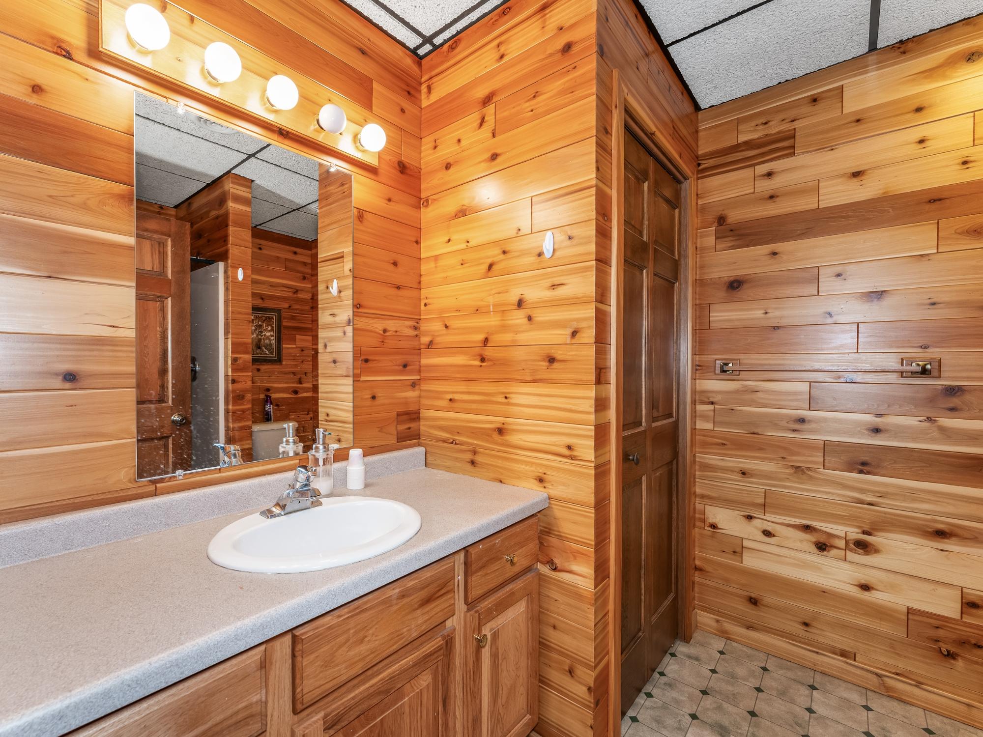 Undocumented Lake Property 4017 Hwy 51 Photo 27