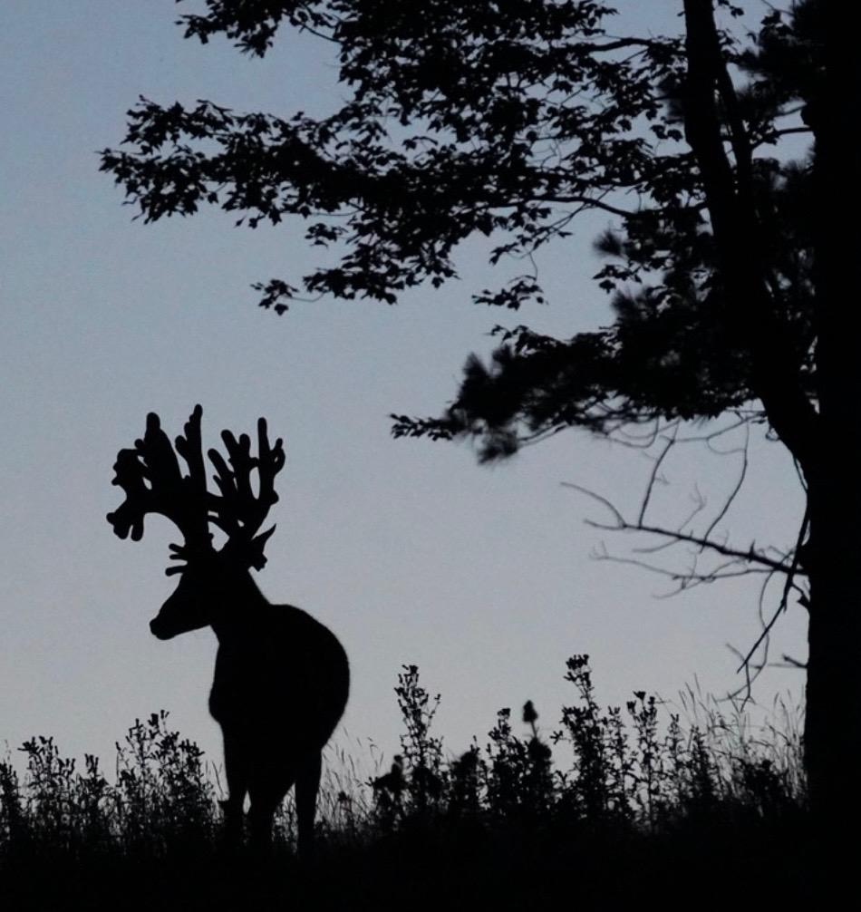 Undocumented Lake Property 4017 Hwy 51 Photo 3