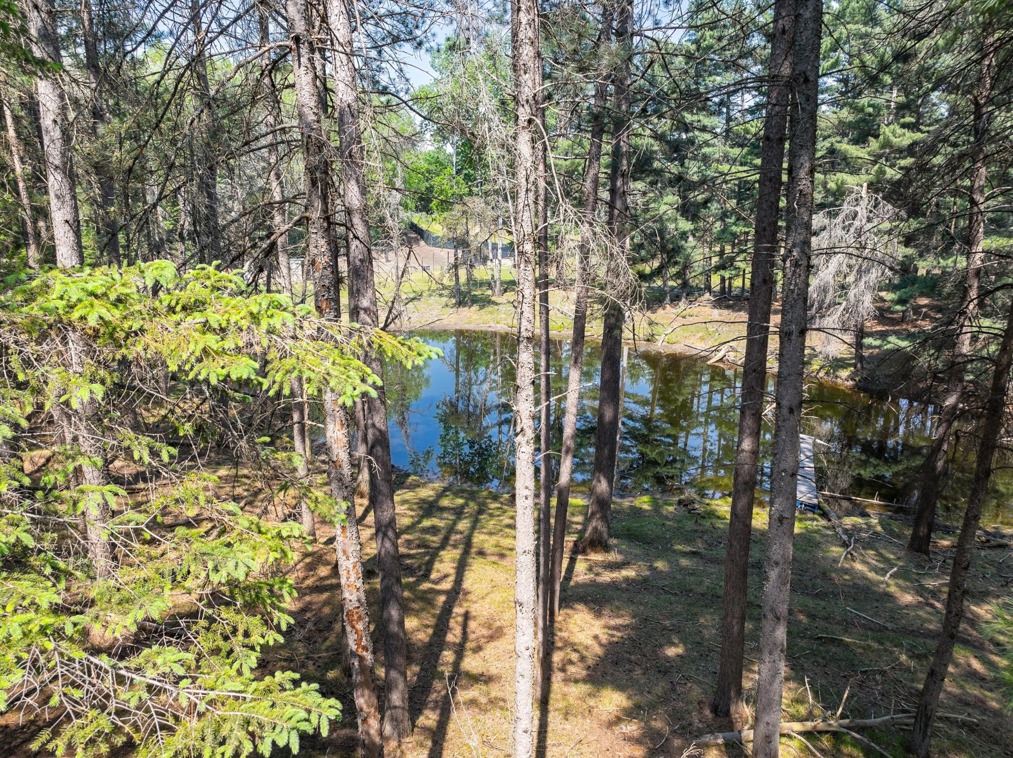 Undocumented Lake Property 4017 Hwy 51 Photo 31