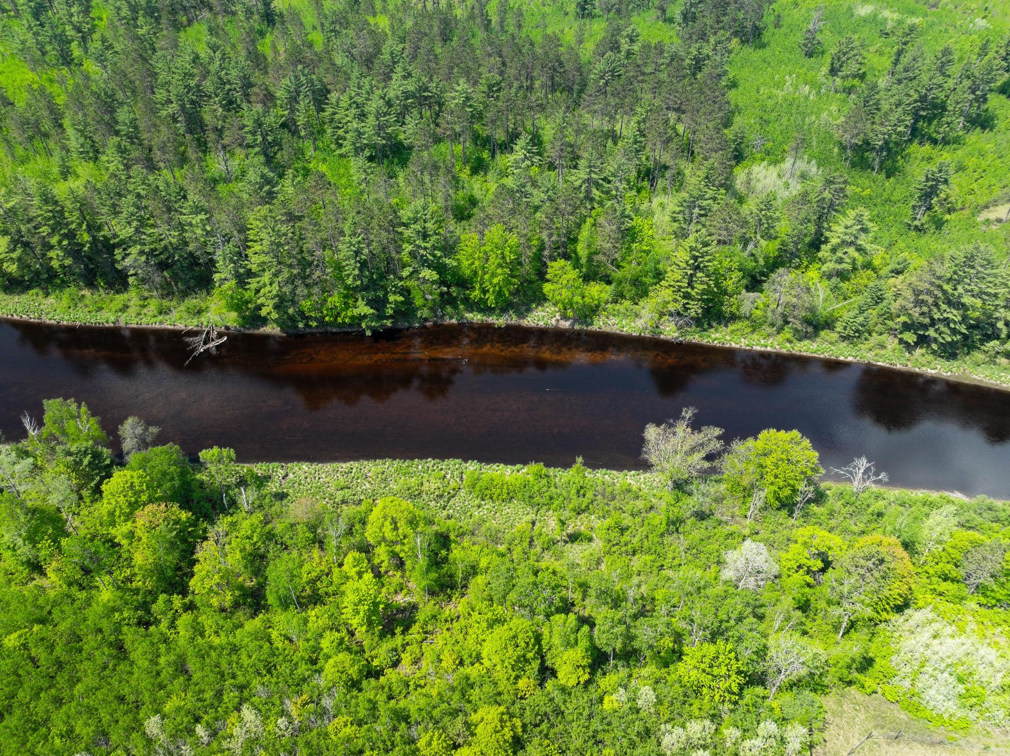 Undocumented Lake Property 4017 Hwy 51 Photo 60