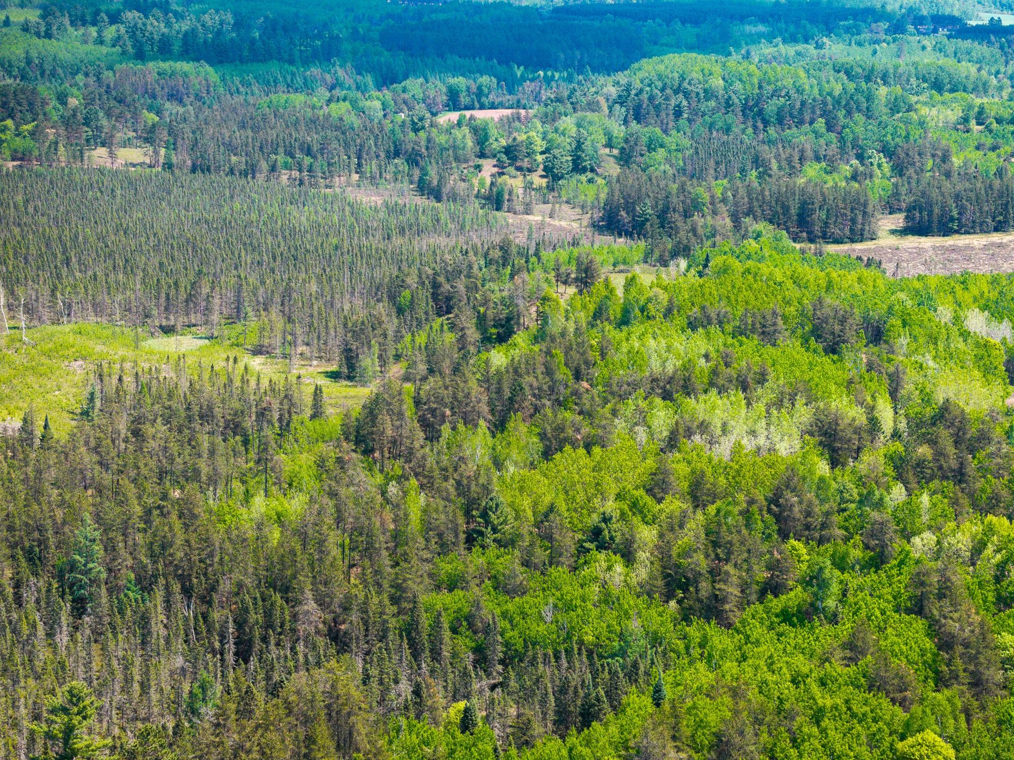 Undocumented Lake Property 4017 Hwy 51 Photo 62