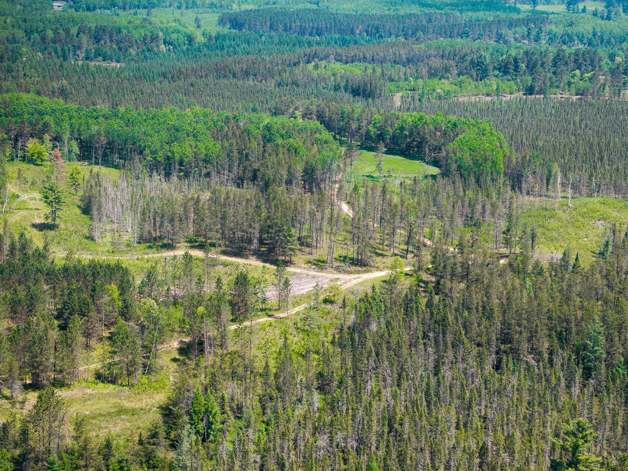 Undocumented Lake Property 4017 Hwy 51 Photo 63