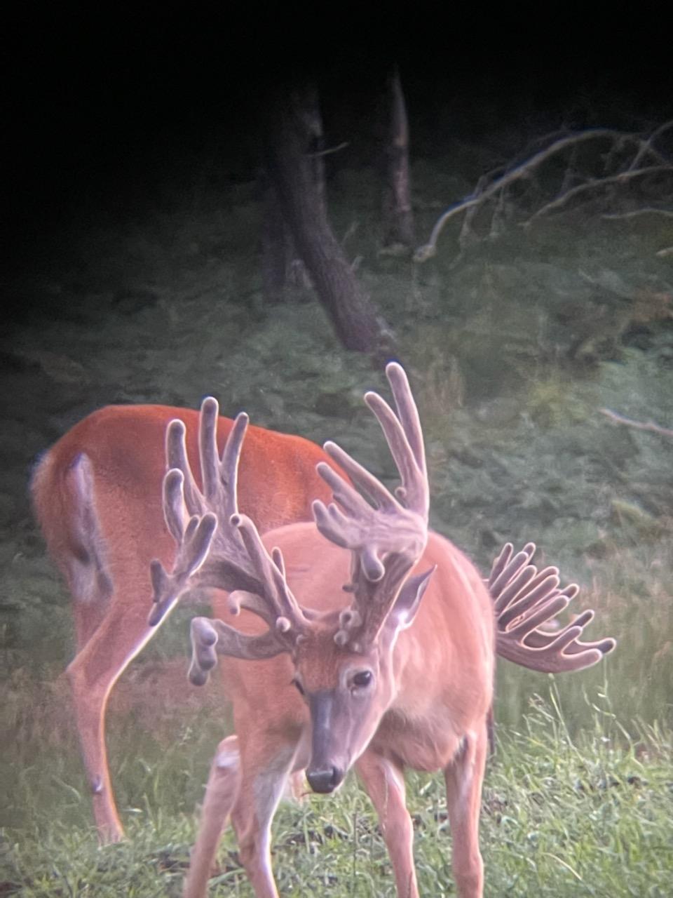 Undocumented Lake Property 4017 Hwy 51 Photo 64
