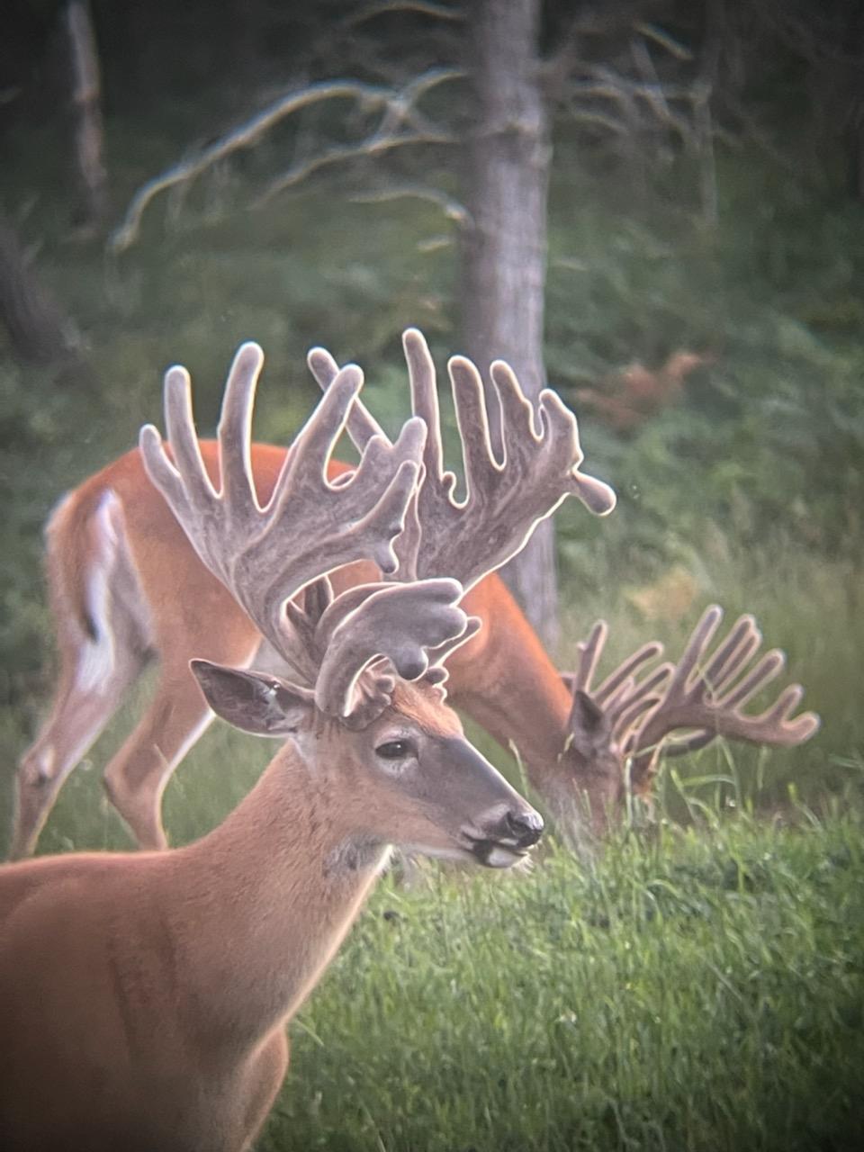 Undocumented Lake Property 4017 Hwy 51 Photo 67