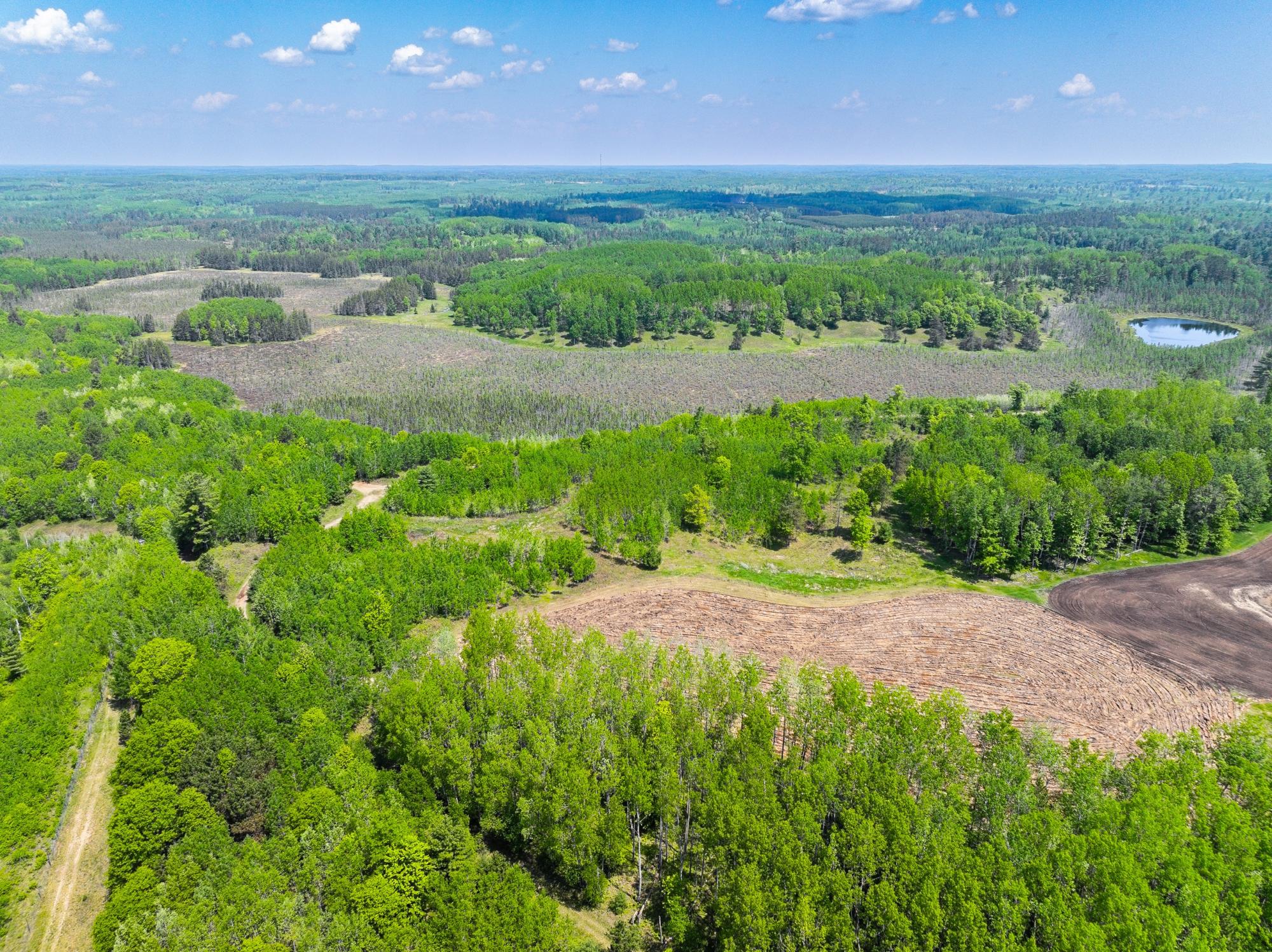 Undocumented Lake Property 4017 Hwy 51 Photo 68