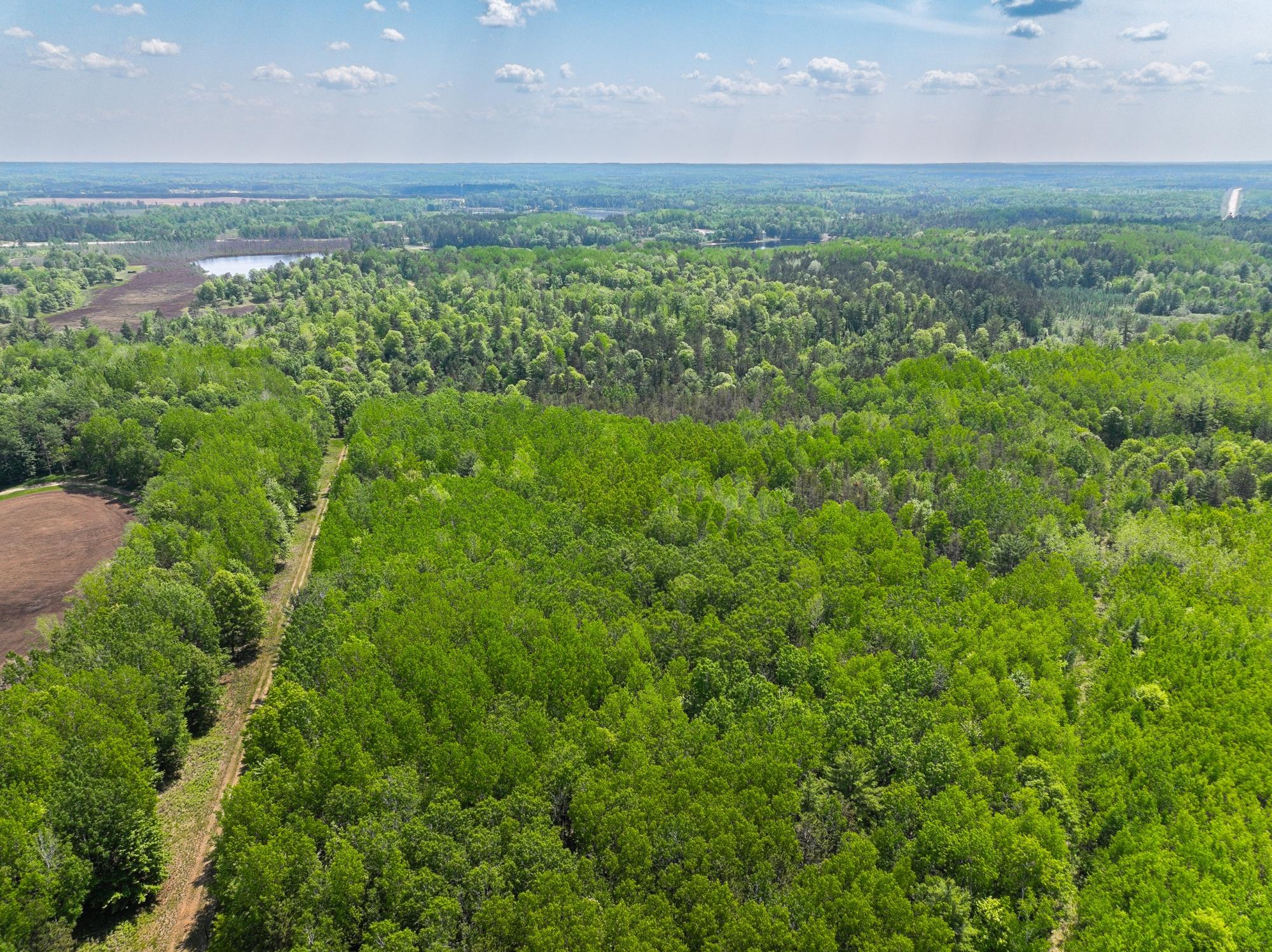 Undocumented Lake Property 4017 Hwy 51 Photo 71