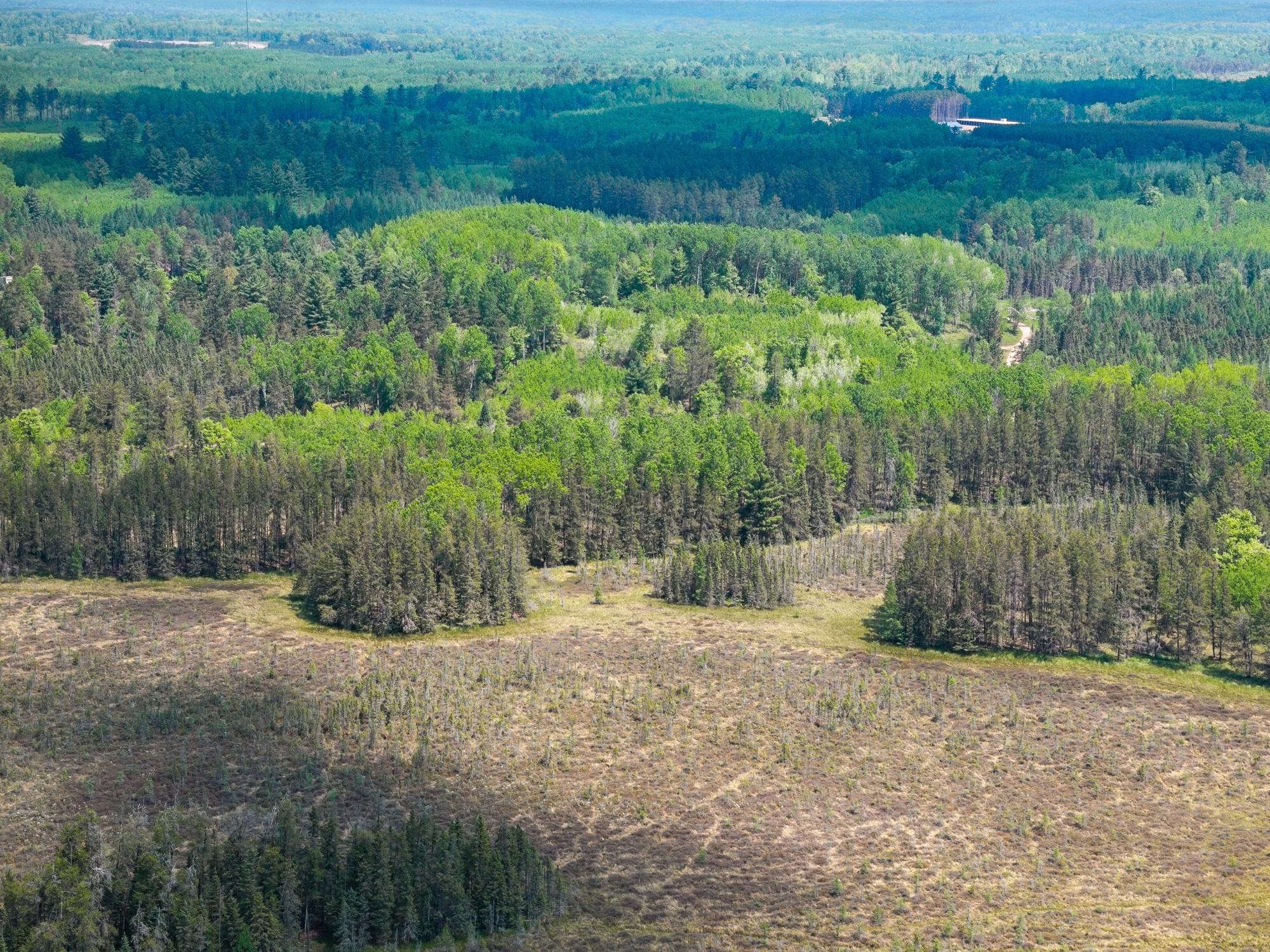 Undocumented Lake Property 4017 Hwy 51 Photo 72
