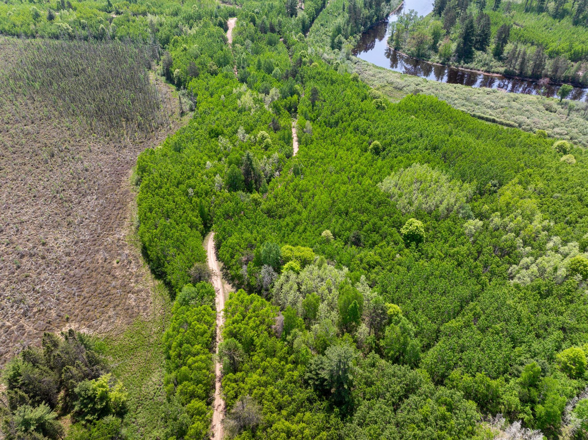 Undocumented Lake Property 4017 Hwy 51 Photo 74