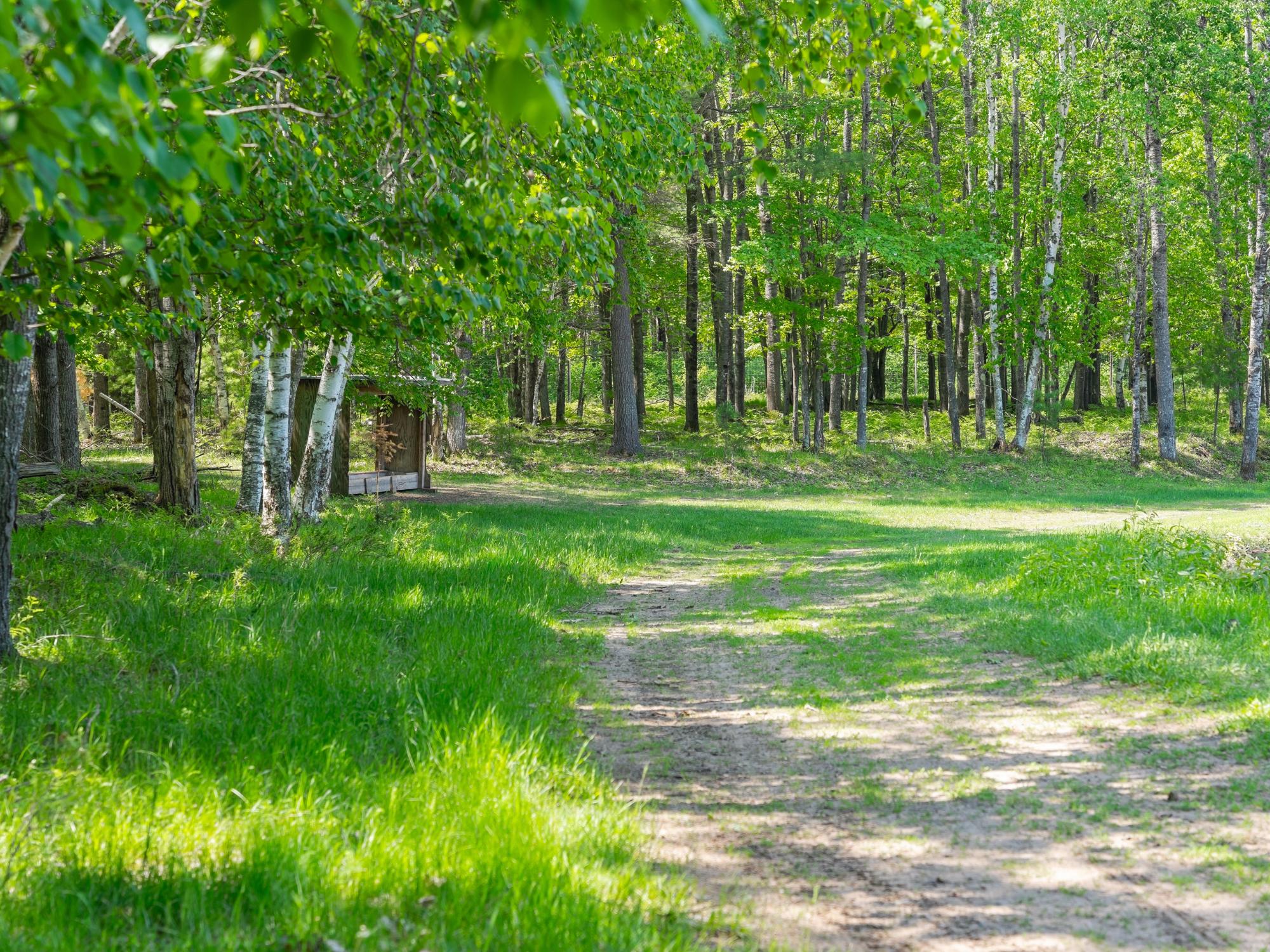 Undocumented Lake Property 4017 Hwy 51 Photo 75