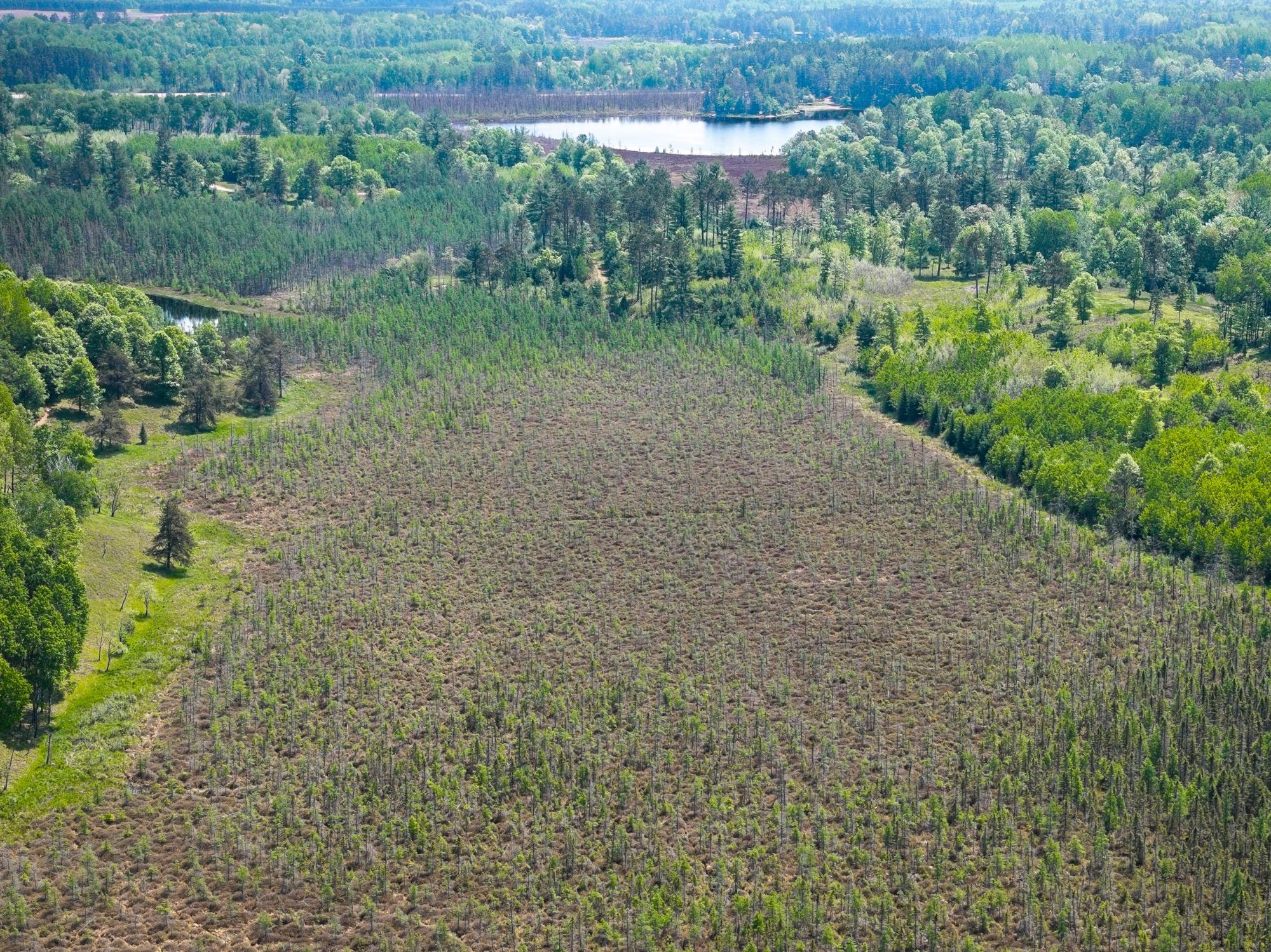 Undocumented Lake Property 4017 Hwy 51 Photo 78