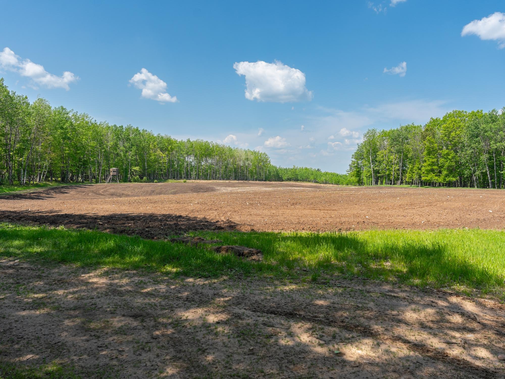Undocumented Lake Property 4017 Hwy 51 Photo 83