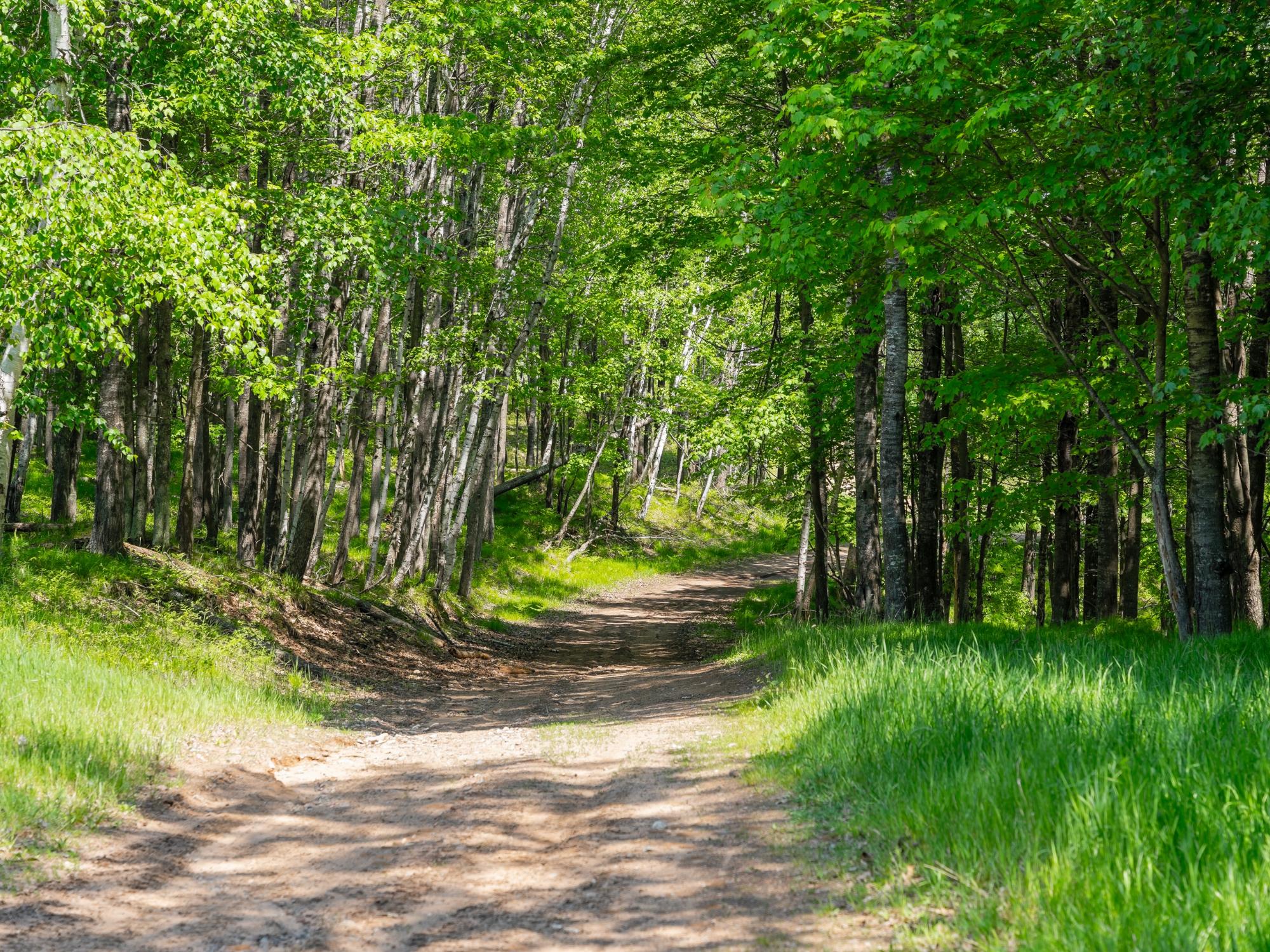 Undocumented Lake Property 4017 Hwy 51 Photo 84