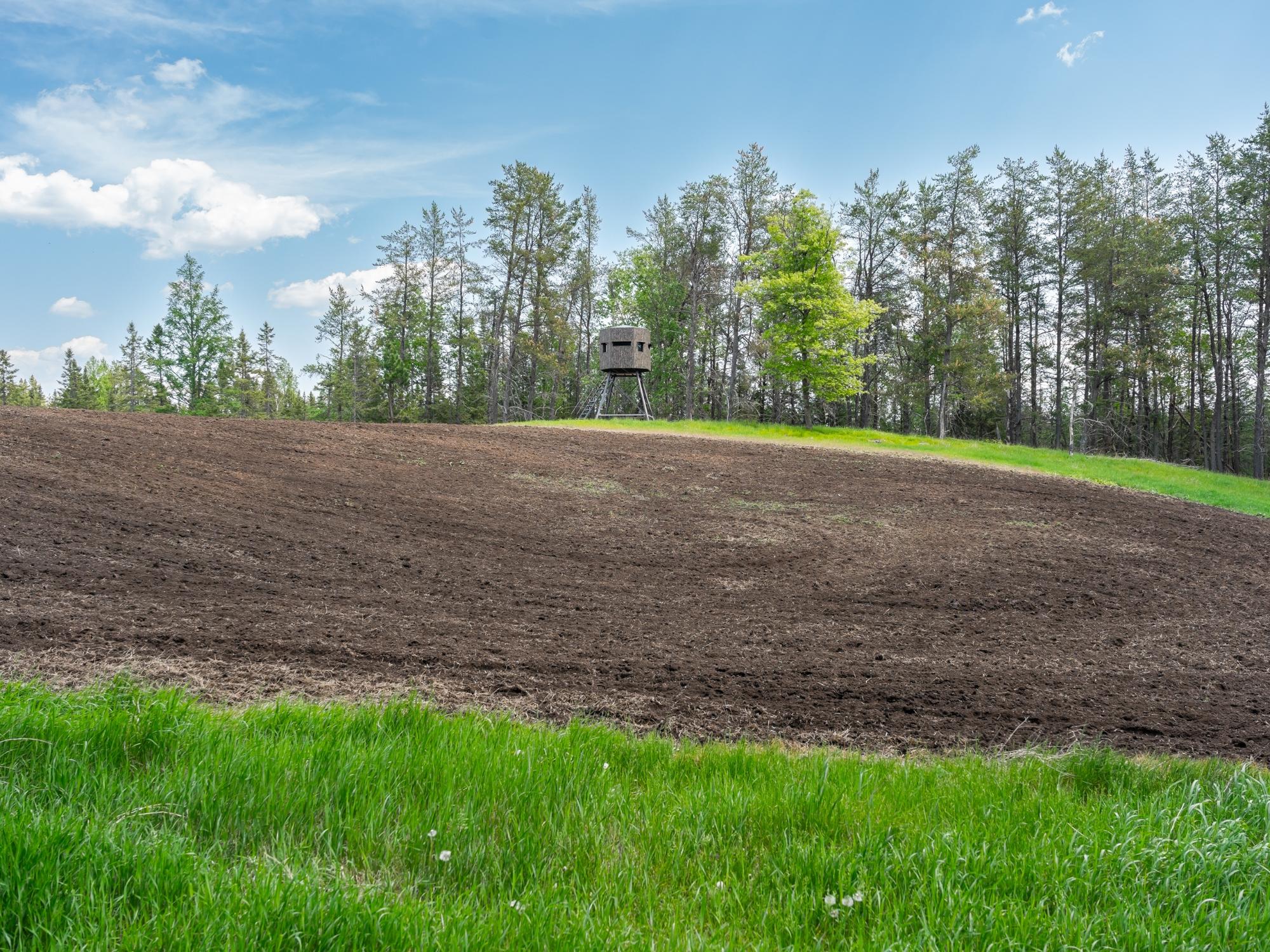 Undocumented Lake Property 4017 Hwy 51 Photo 85